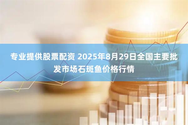 专业提供股票配资 2025年8月29日全国主要批发市场石斑鱼价格行情