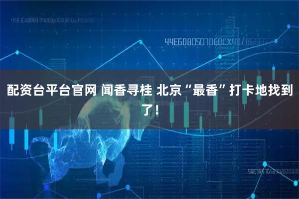配资台平台官网 闻香寻桂 北京“最香”打卡地找到了！