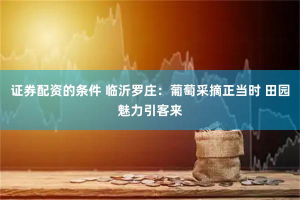 证券配资的条件 临沂罗庄：葡萄采摘正当时 田园魅力引客来
